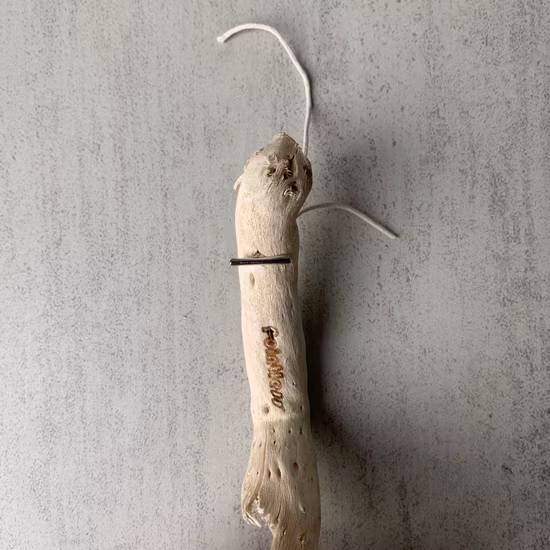 Plancher stratifié Chevron Plancher 12 mm Bois d'ingénierie pour la décoration intérieure Chauffage au sol Magasins disponibles Accueil Sol stratifié de style Morden